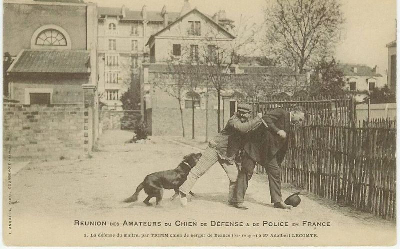 Rich French Heritage