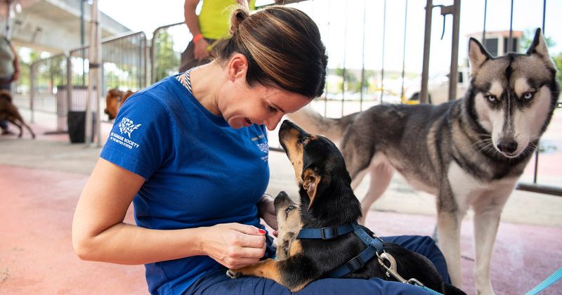 Support Local Shelter Initiatives