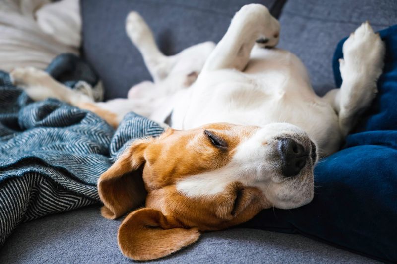 Stretching Out Comfortably