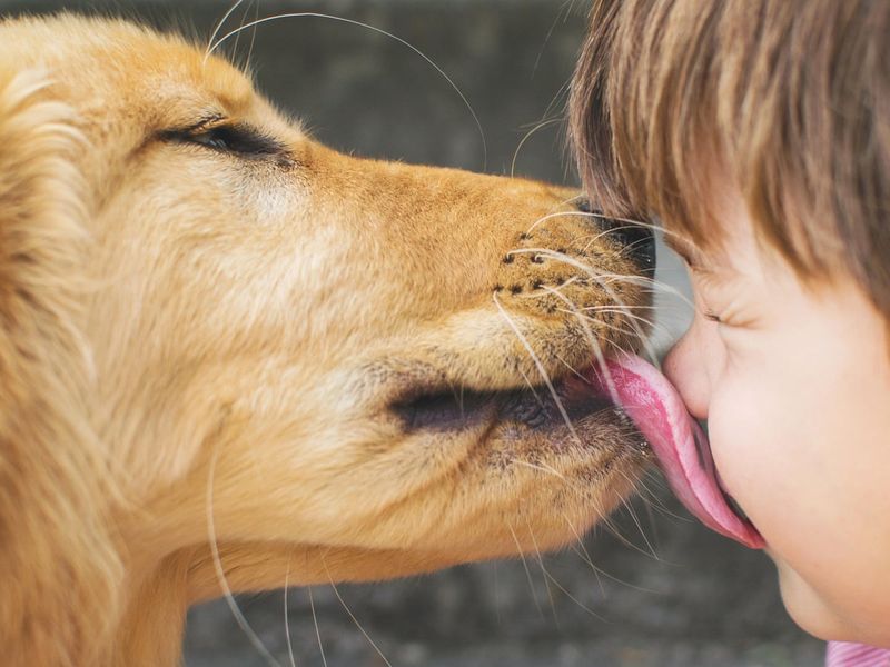 Licking Your Face
