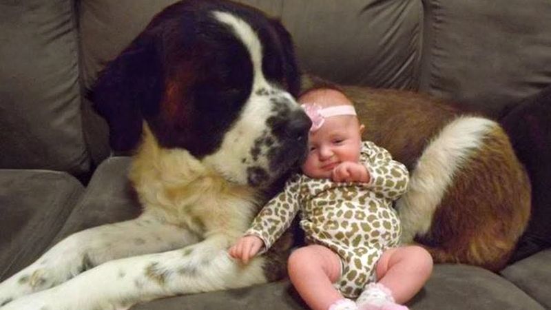 Caring for Young Children
