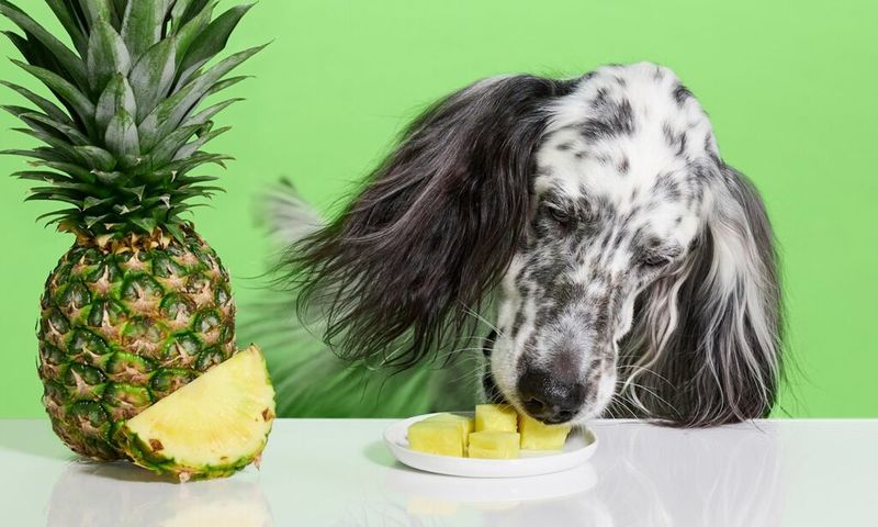 Pineapple