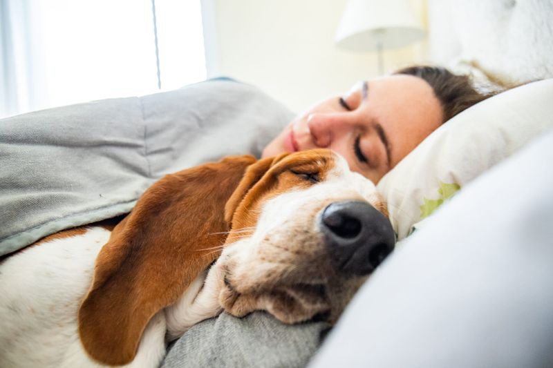 Sleep Buddy