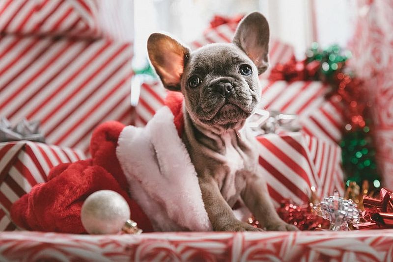 A Lonely Holiday Season