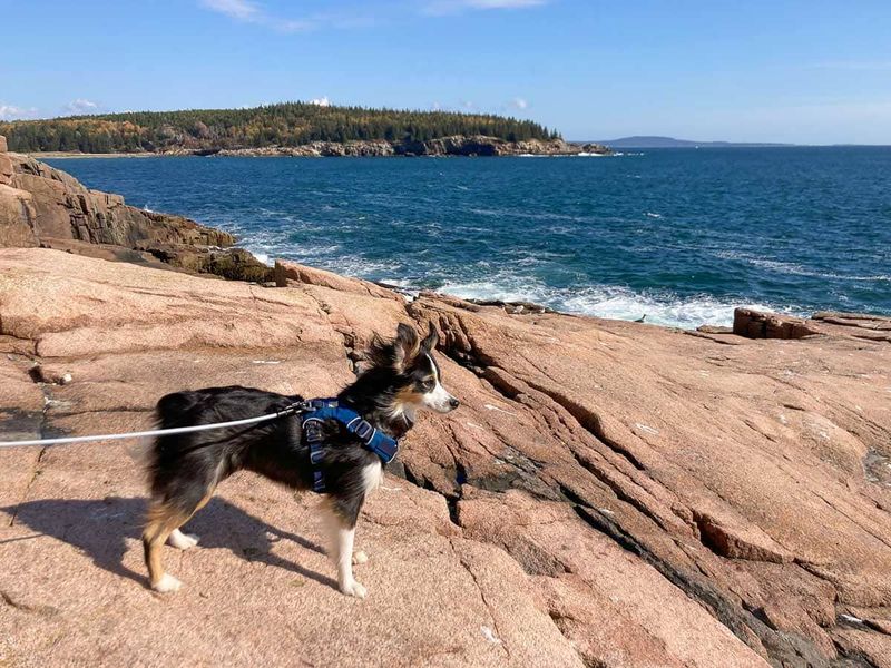 Coastal Breeze Path