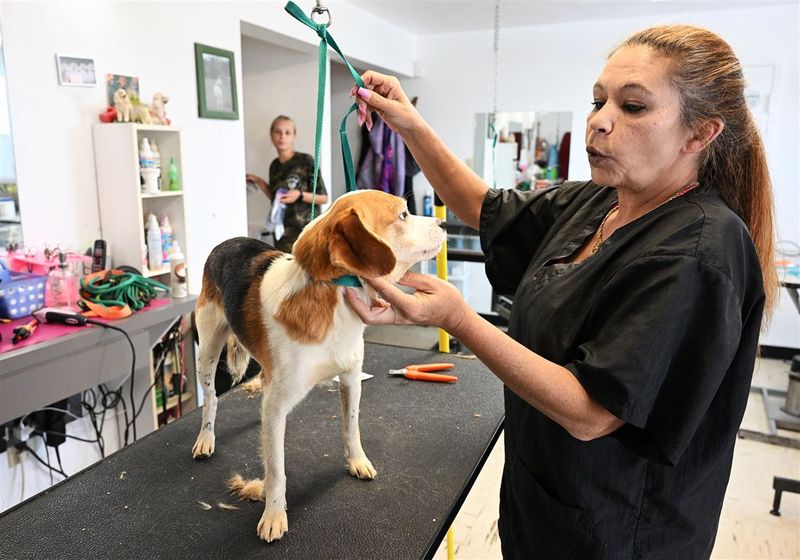 Offer Grooming Services