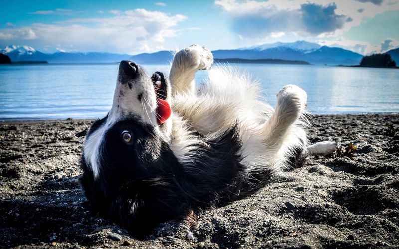 Rolling Over