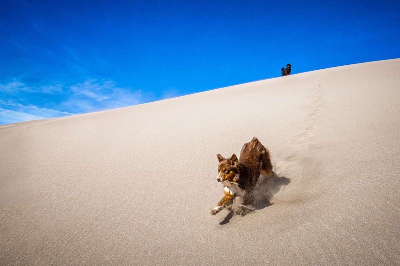 Great Sand Dunes National Park