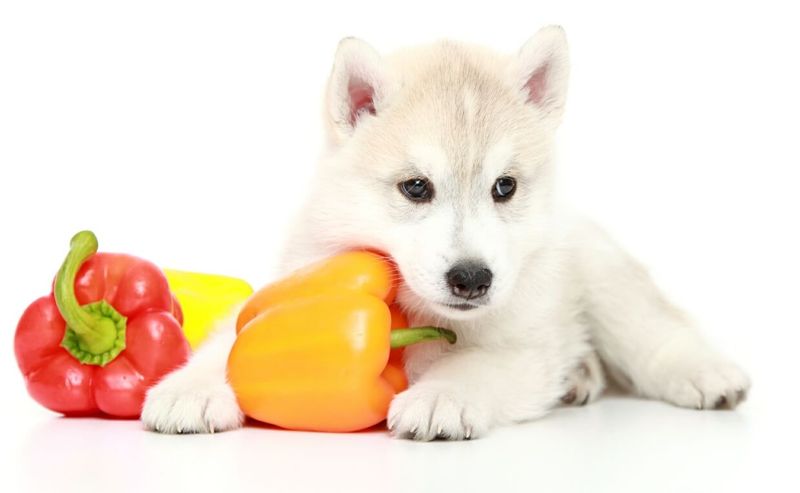 Bell Peppers