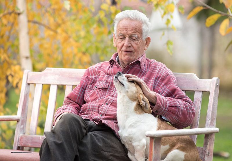 Emotional Support and Companionship