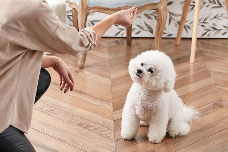 Sit