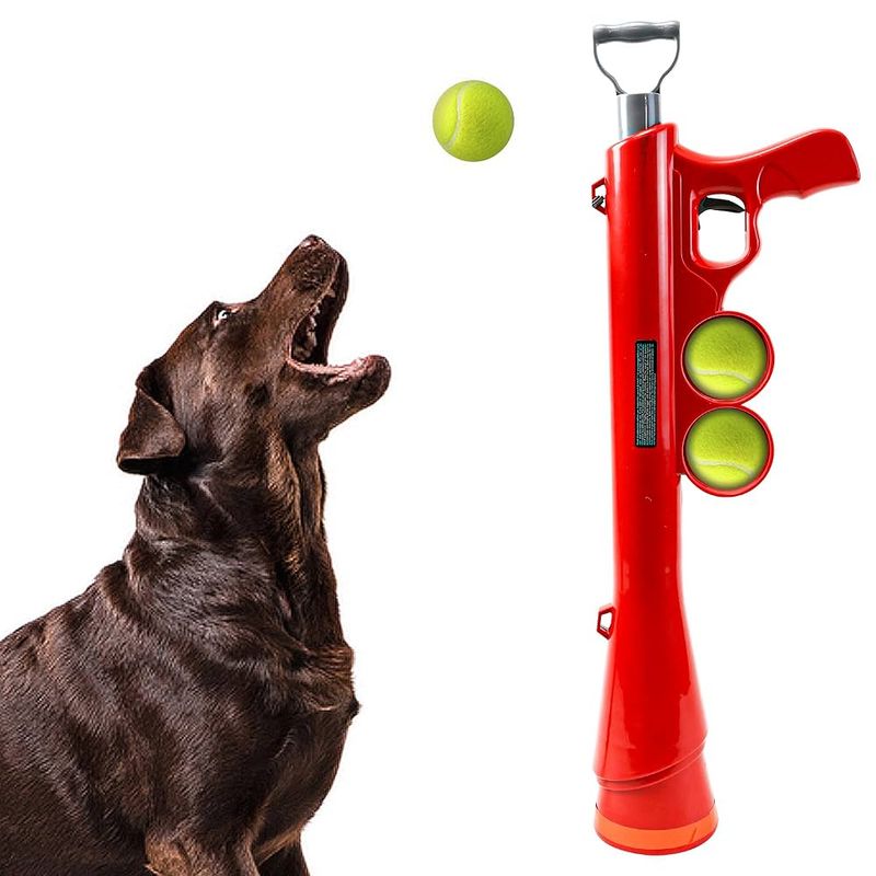 Interactive Fetch with a Twist