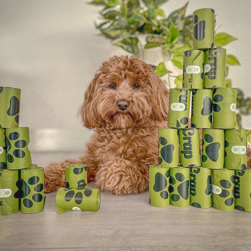 Biodegradable Poop Bags Support Sustainability