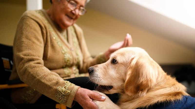 Emotional Support