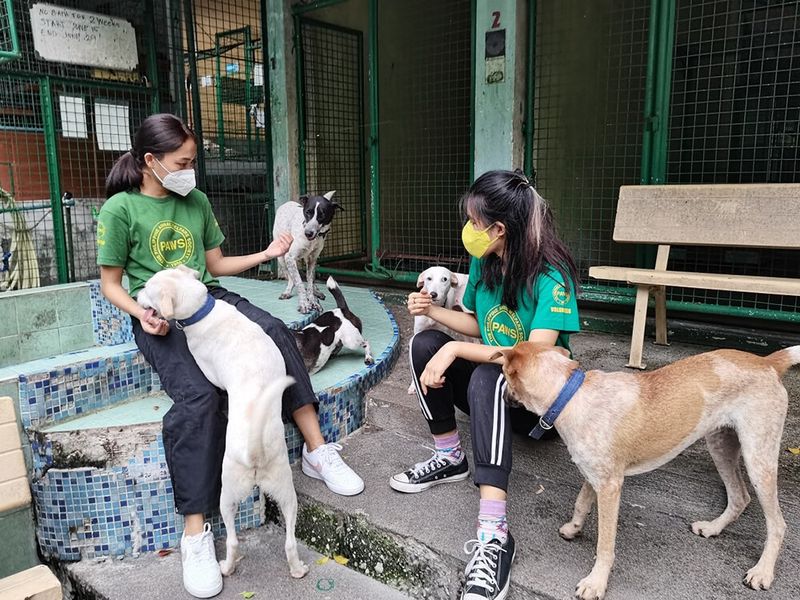 Encourage Responsible Pet Ownership