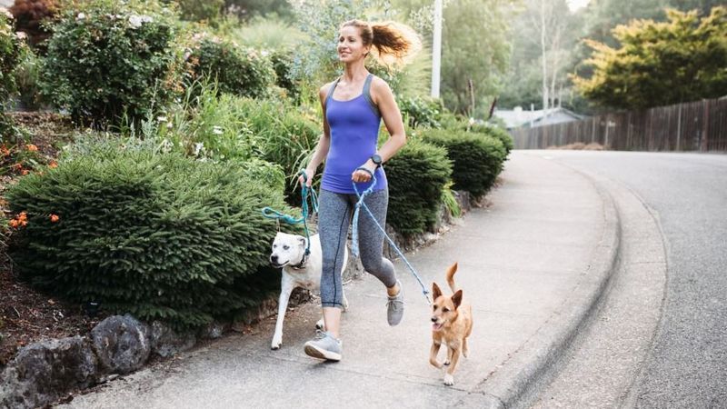 Supports Weight Management