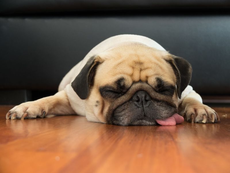 Lethargy and Fatigue