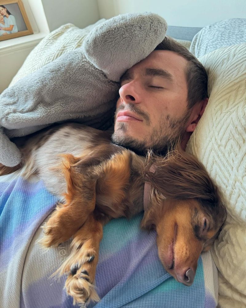 Dachshund
