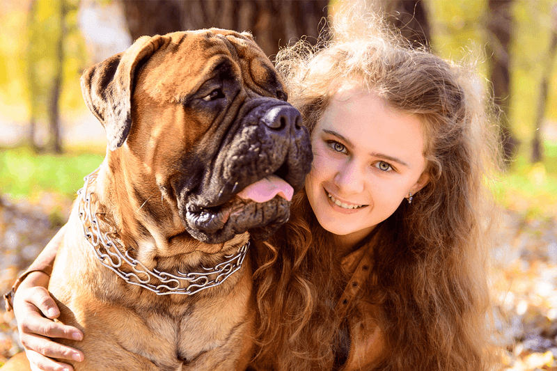 Bullmastiff