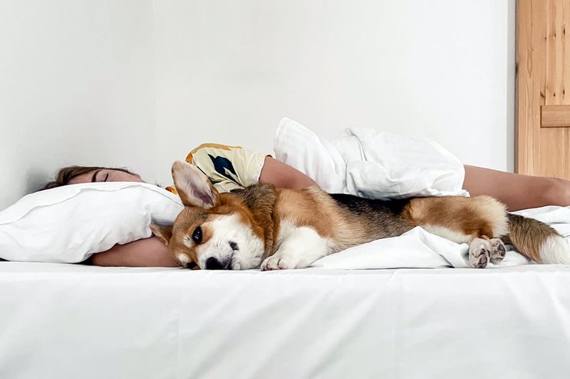 Cuddling After Meals