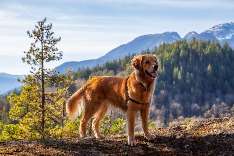 Exploration Adventures