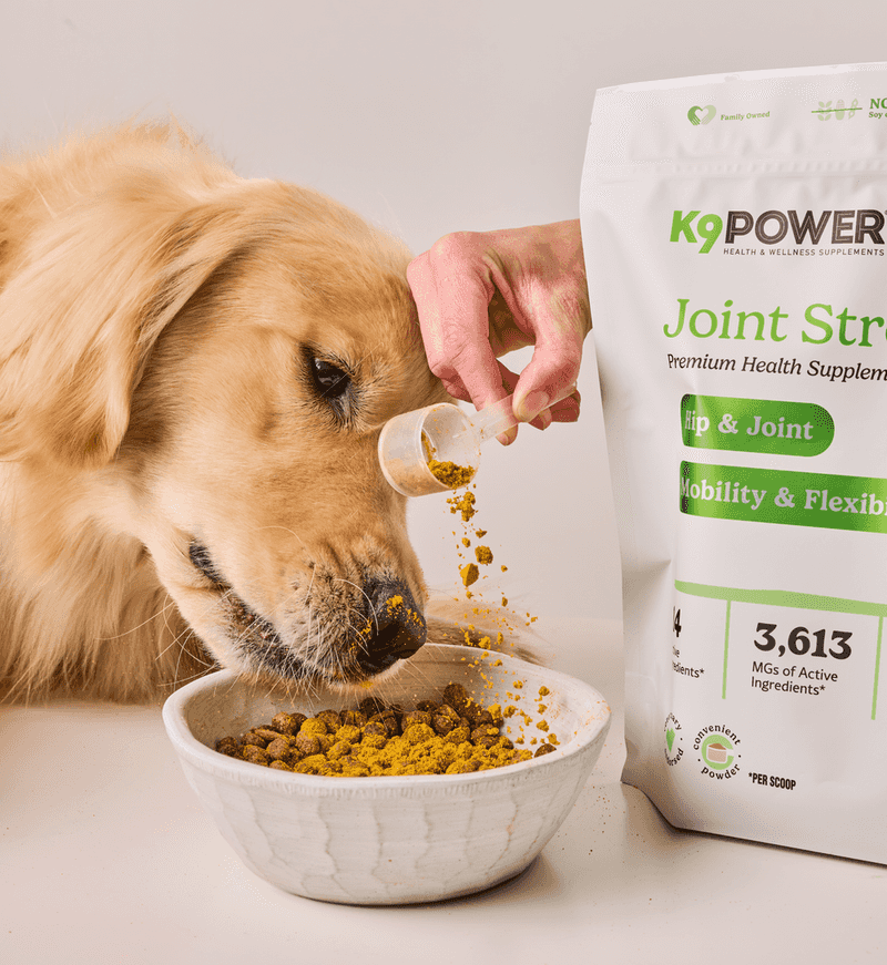 Joint Supplements