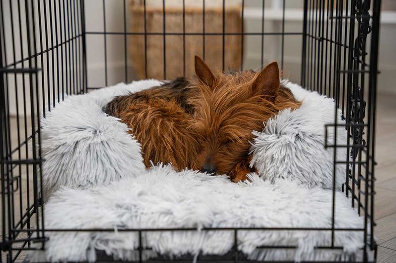 Comfortable Bedding