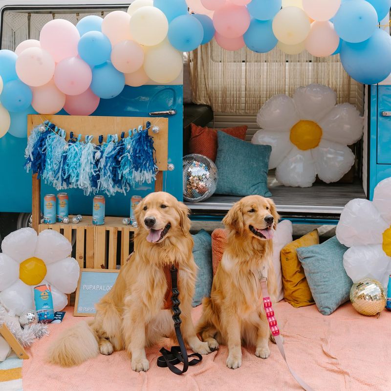 Attend Dog-Friendly Events