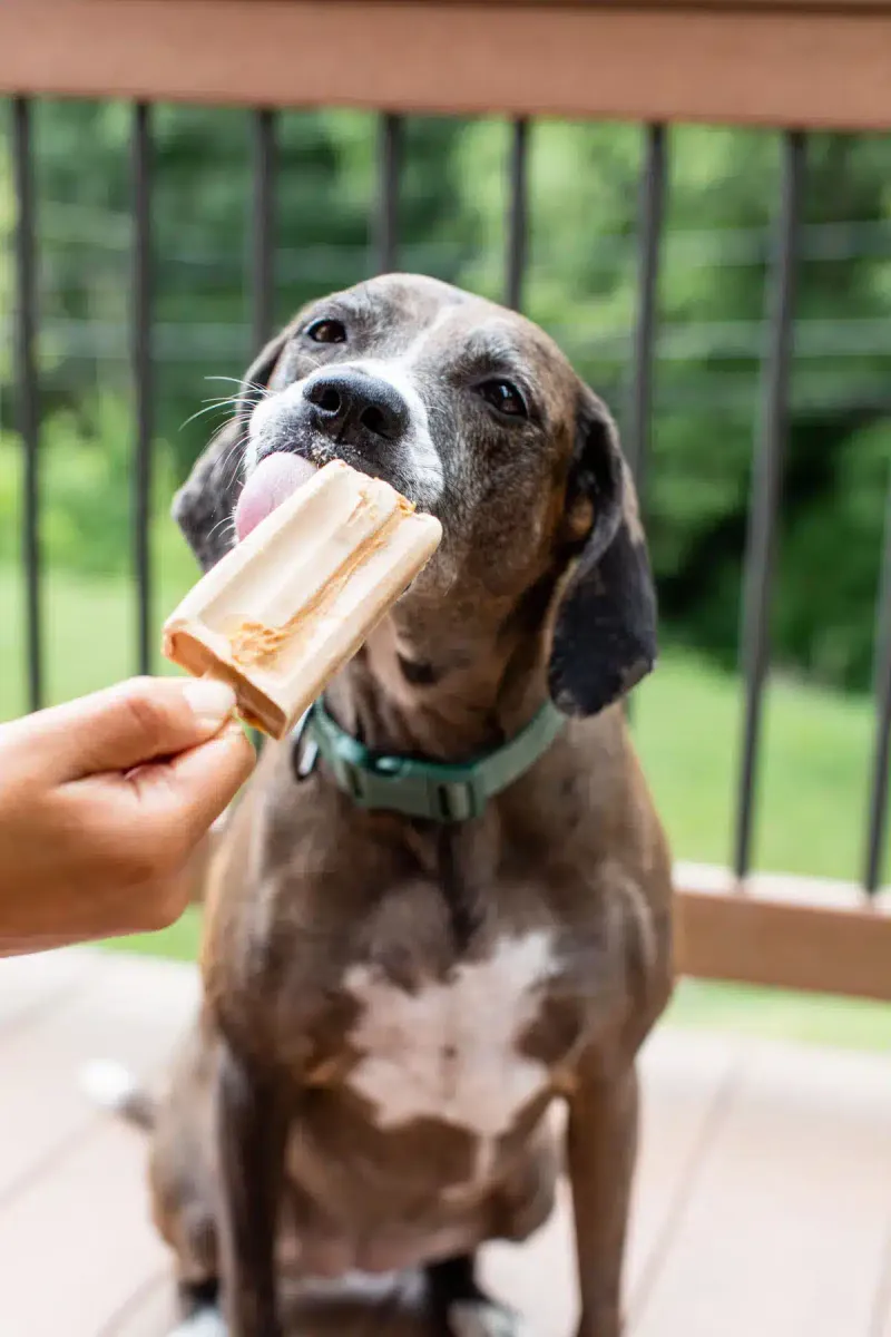 Ice Treats