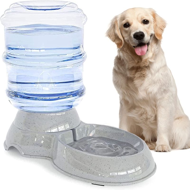 Hydration Station