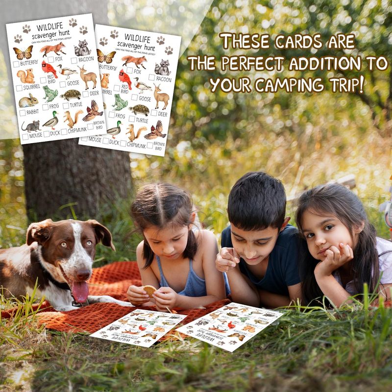 Doggie Treasure Hunt