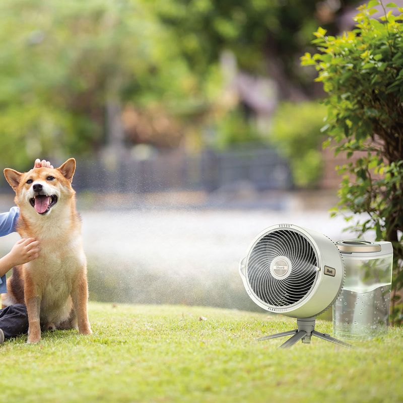 Misting Fan