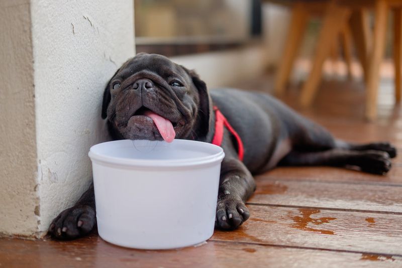 Heat Intolerance