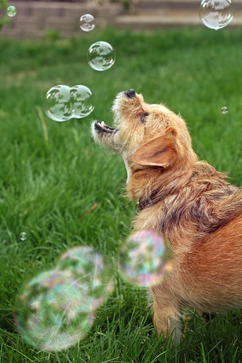 Bubble Chasing