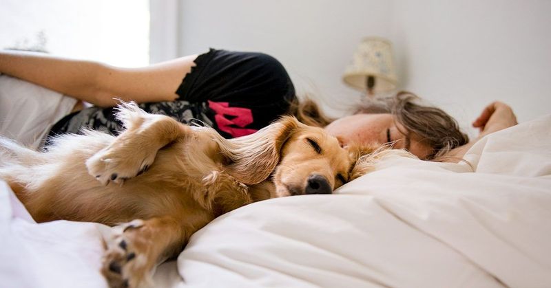 Sleeping Positions