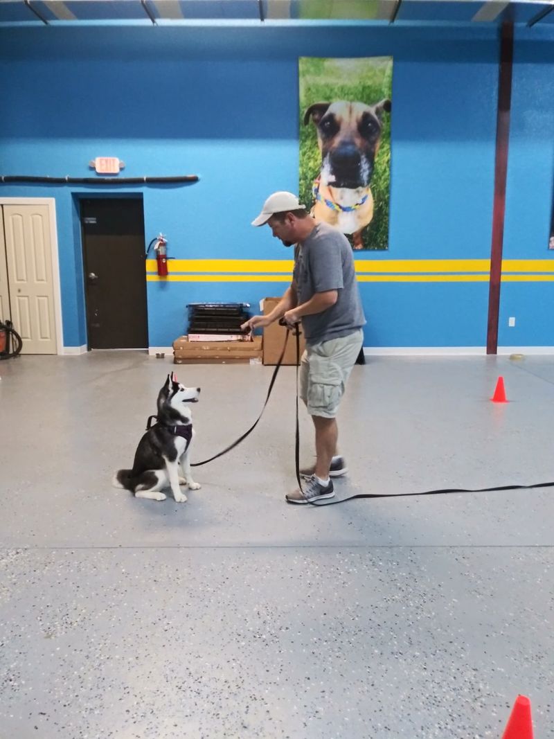 Engage in Training Sessions