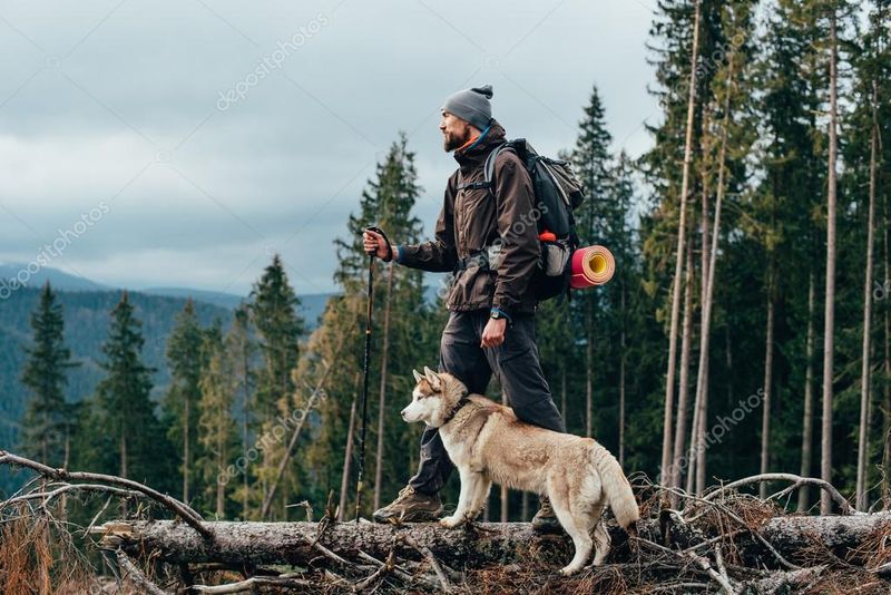 Sense of Adventure
