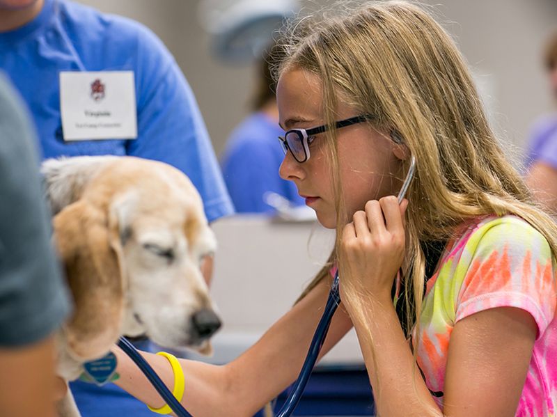 Support Veterinary Outreach Programs