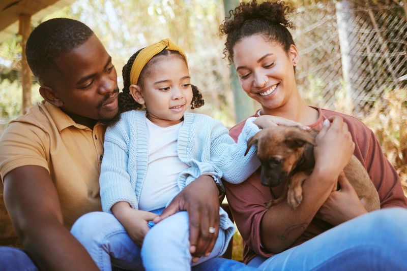 Adopt a Shelter Dog