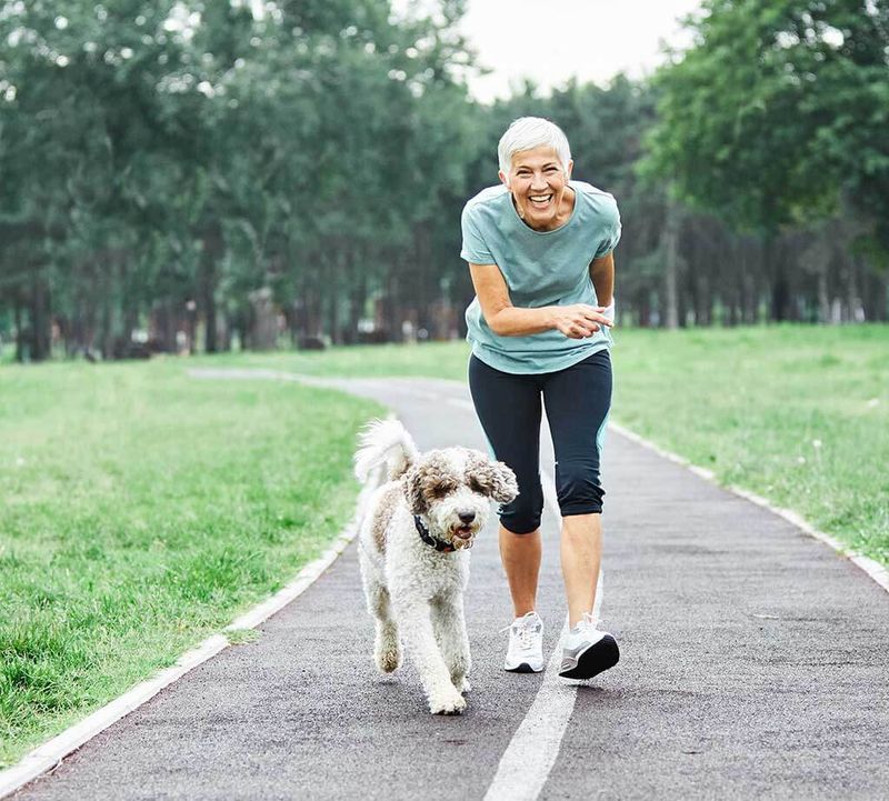 Physical Fitness Partner