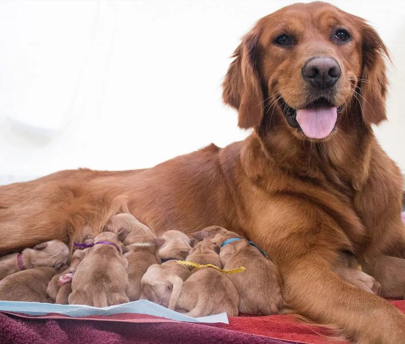 Nurturing Care