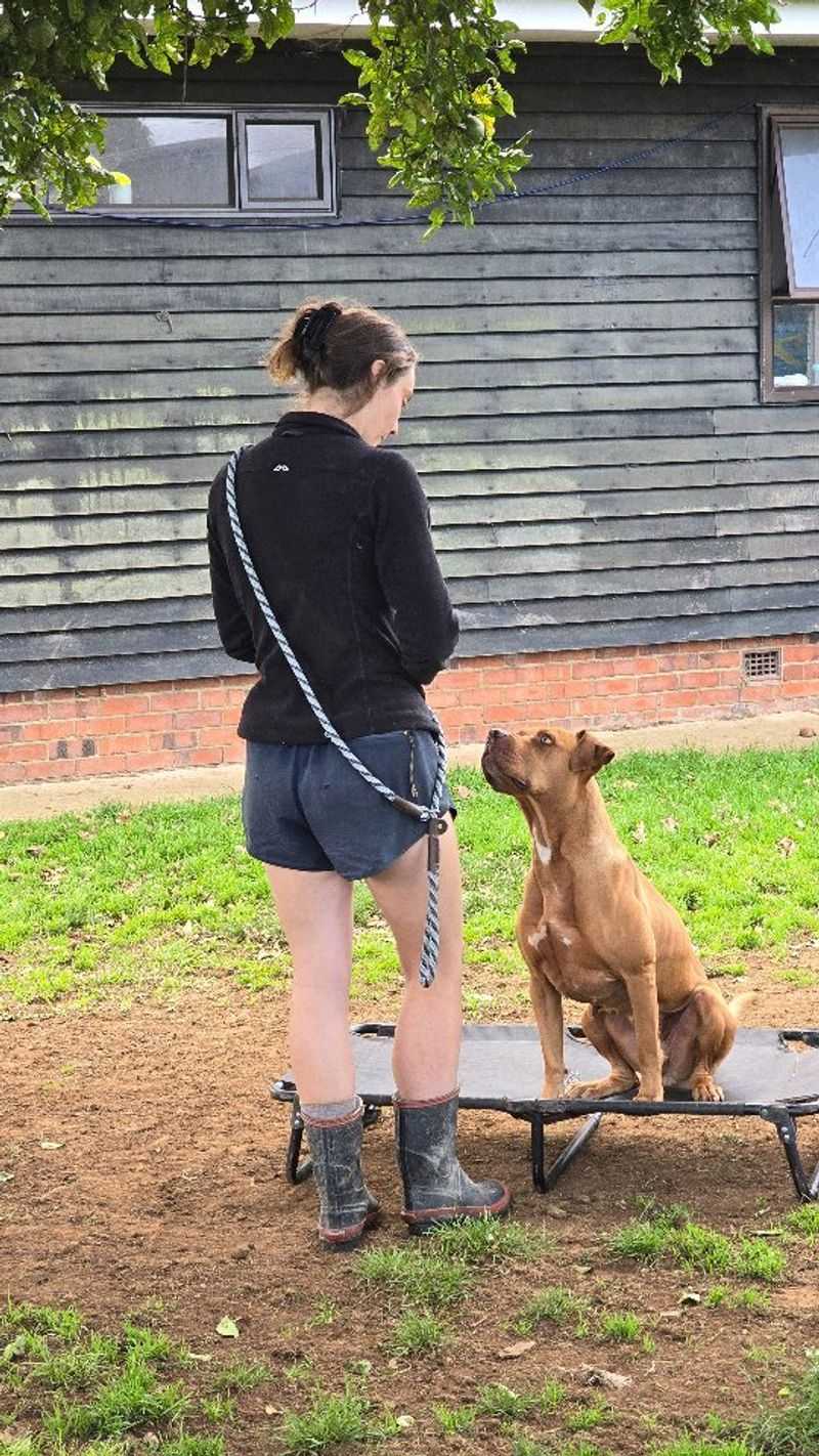 Patience Pays Off