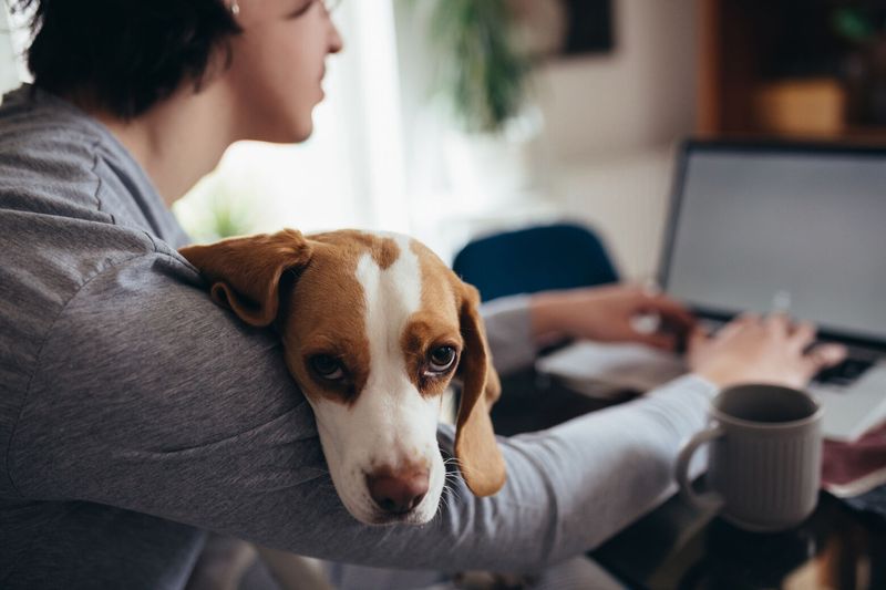 Checking On You Regularly