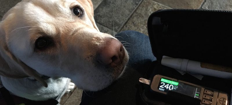 Diabetes Detection