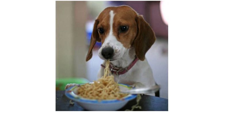 Eating Habits