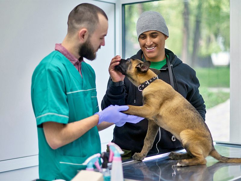 Visiting the Vet