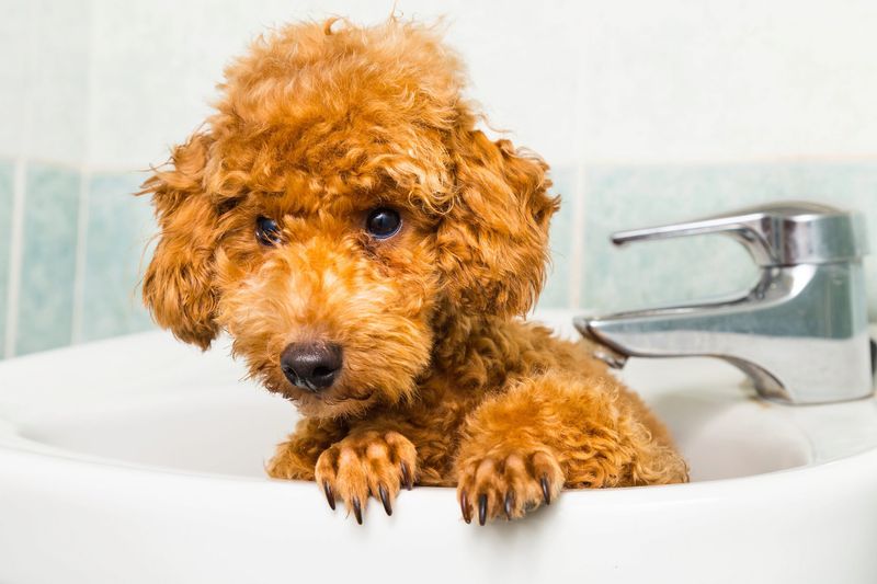 First Bath