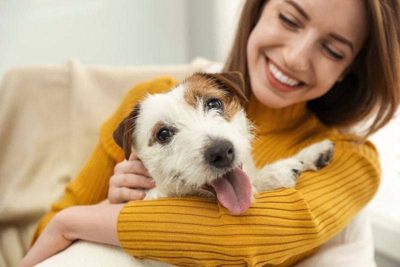 Favorite Human Companion