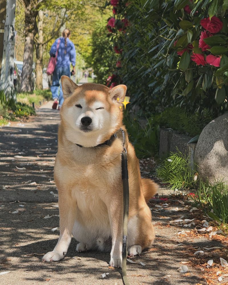 Favorite Walk Route