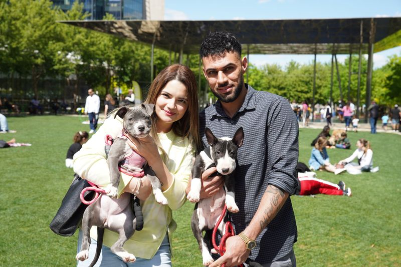 Organize Adoption Events